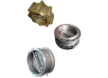 Dual plate check valve
